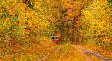 l'automne forêt par lequel un vieux tram monte Ukraine photo