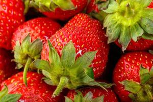 magnifique et mûr rouge des fraises sur une blanc Contexte photo