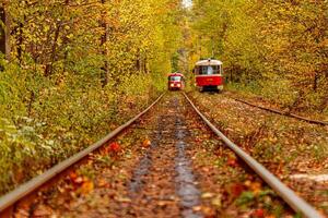 l'automne forêt par lequel un vieux tram monte Ukraine photo