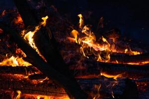 magnifique Feu flammes sur une feu de camp photo