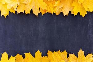 l'automne feuilles Cadre sur noir Contexte Haut vue tomber frontière Jaune et Orange feuilles ancien structure table copie espace pour texte. photo