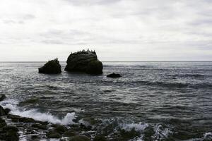 gros pierre dans le mer photo