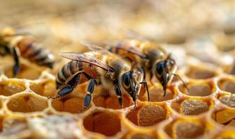 ai généré les abeilles sont travail sur nid d'abeille photo