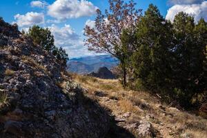 magnifique vue de le montagnes par le des arbres photo