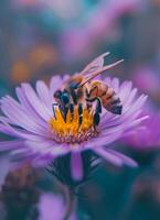 ai généré abeille sur fleur proche en haut. photo de une abeille sur une violet fleur