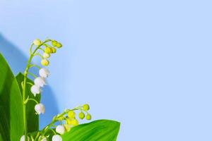 paysage de printemps. fleurs muguet photo