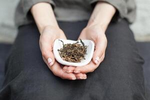 chahé avec noir thé pour chinois thé en buvant dans le mains de le maître. traditionnel chinois thé en buvant cérémonie. photo