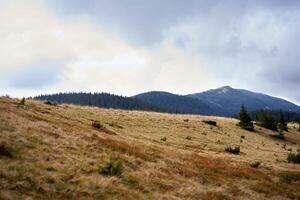 Montagne paysage avec nuage ciel Carpates Ukraine photo