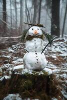 bonhomme de neige sur une arbre souche avec carotte, boutons, branches, pin aiguilles comme cheveux photo