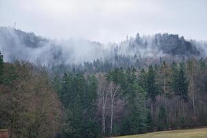 brumeux forêt sur une Montagne dans le Elbe grès montagnes. sombre atmosphère photo