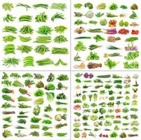 collection de légumes isolé sur fond blanc photo