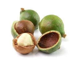 noix de macadamia sur fond blanc photo