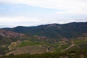 magnifique vallée dans le montagnes avec vignobles photo