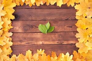 l'automne feuilles Cadre sur en bois Contexte Haut vue photo