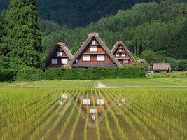 Shirakawago Trois Maisons, shirakawa, Japon. photo