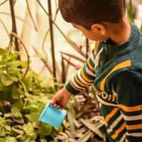 mignonne 5 année vieux asiatique peu garçon est arrosage le plante dans le des pots situé à maison balcon, l'amour de sucré peu garçon pour le mère la nature pendant arrosage dans végétaux, enfant plantation photo