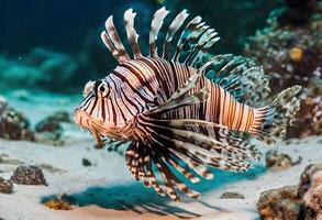 ai généré une vue de une Lion poisson photo