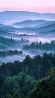 ai généré brumeux Matin plus de verdoyant boisé collines à lever du soleil photo