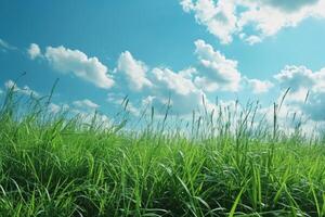ai généré vert herbe et bleu ciel été paysage photo