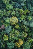 ai généré aérien vue de tropical forêt à le coucher du soleil photo