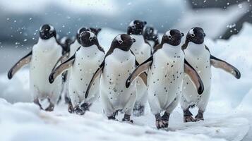 ai généré groupe de pingouins permanent dans le neige photo