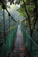 ai généré suspension pont dans le milieu de une jungle photo