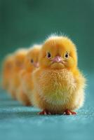 ai généré groupe de petit Jaune poussins sur bleu surface photo