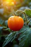 ai généré proche en haut de une tomate sur une plante photo