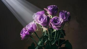 ai généré violet des roses dans abstrait coup avec faisceau de lumière, Haut la gauche photo
