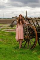 jolie Jeune femme dans une rose robe dans de face de une cheval tiré le chariot photo