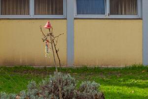 abstrait décoration sur une arbuste dans le jardin photo