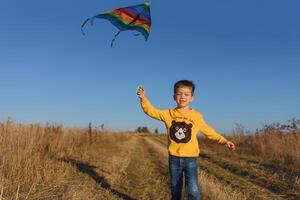 peu garçon en jouant avec cerf-volant sur prairie. enfance concept photo