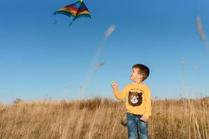 peu garçon en jouant avec cerf-volant sur prairie. enfance concept photo
