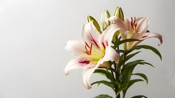 ai généré Pâques lis fleur présenté dans isolé élégance sur blanc toile de fond photo