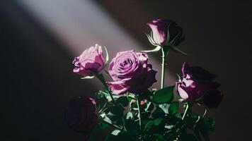 ai généré abstrait coup de violet des roses avec faisceau de lumière photo