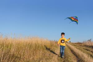 peu garçon en jouant avec cerf-volant sur prairie. enfance concept photo