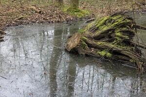 la nature Contexte photo