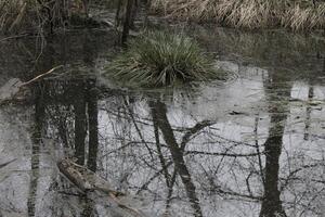 la nature Contexte photo