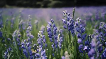ai généré fantaisie doux floral Contexte avec bleu fleurs dans défocalisé réglage photo