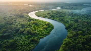 ai généré rivière écoulement par luxuriant vert forêt photo