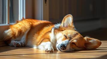 ai généré marron et blanc chien repos sur en bois sol photo