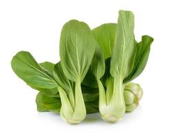 Légumes bok choy sur fond blanc photo