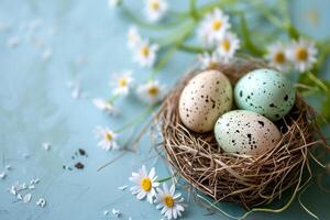 ai généré tacheté Pâques des œufs niché dans une Naturel nid parmi blanc marguerites sur une bleu surface créer une vibrant printemps scène. idéal pour Pâques célébrations ou saisonnier décor des articles. photo