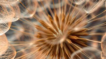 ai généré macro pissenlit. fermer de la nature beauté photo