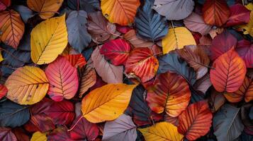 ai généré pile de déchue feuilles sur sol photo