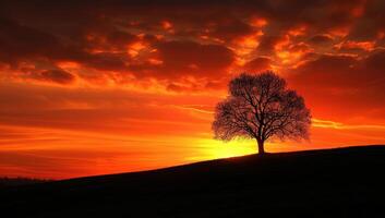 ai généré silhouette de une solitaire arbre à le coucher du soleil sur une colline. photo