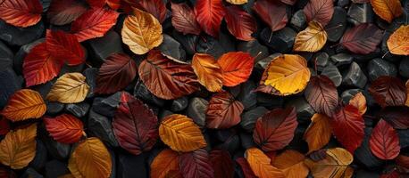 ai généré une proche en haut de coloré feuilles par le bord de la route photo