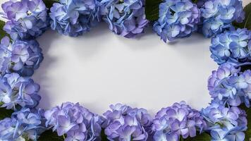 ai généré fleur frontière Cadre de bleu hortensia fleurs sur blanc Contexte photo