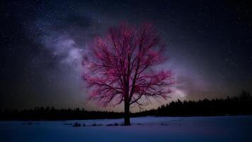 ai généré la gauche magenta lueur contre large foncé étoilé nuit Contexte photo