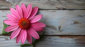 ai généré Naturel médicinal échinacée fleur sur une en bois table photo